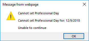 An image showing an error for setting a professional day on a holiday